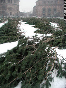 A garden of green waits to  form Republic Square's holiday tree